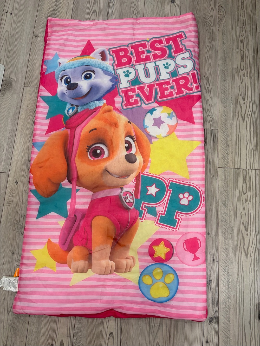 Paw Patrol Skye & Everest Girls Sleeping Bag Pink